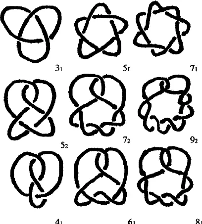 Knot Diagram